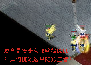 �����Ǵ���˽���ռ�BOSS�������ս��ֻ�������ߣ�