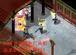 ��ο�����������·���ְҵ��ɫ�ȼ���