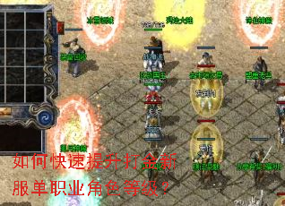 ��ο�����������·���ְҵ��ɫ�ȼ���