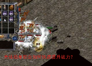 ���ɽٵ�ְҵ��ο�������ս����