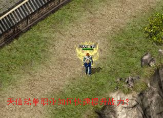 ���ɽٵ�ְҵ��ο�������ս����