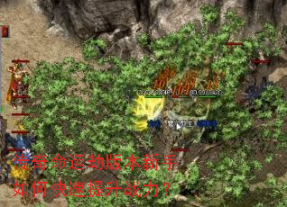 �������˽ٰ汾������ο�������ս����