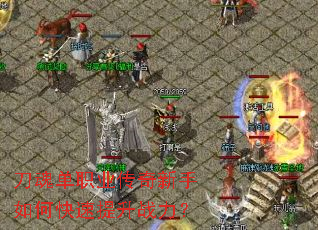���굥ְҵ����������ο�������ս����