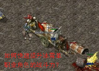 如何快速提升冰雪单职业角色的战斗力? 如何快速提升冰雪单职业角色的战斗力?