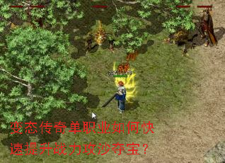 变态传奇单职业如何快速提升战力攻沙夺宝? 变态传奇单职业如何快速提升战力攻沙夺宝?