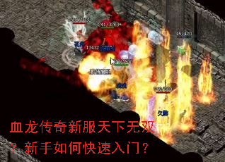 Ѫ�������·�������˫��������ο������ţ�