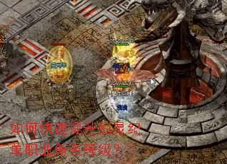 ��ο�����������͵�ְҵ��ɫ�ȼ���