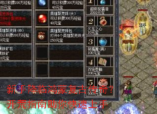 ���ֽ��ٺ��ɸ��Ŵ��棿����ָ�������������