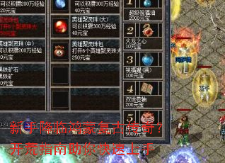 ���ֽ��ٺ��ɸ��Ŵ��棿����ָ�������������