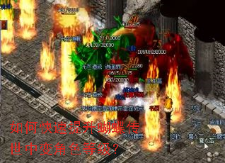 如何快速提升蝴蝶传世中变角色等级? 如何快速提升蝴蝶传世中变角色等级?