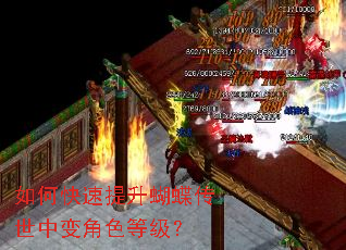 如何快速提升蝴蝶传世中变角色等级? 如何快速提升蝴蝶传世中变角色等级?