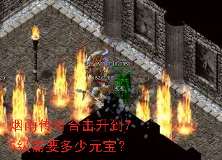 烟雨传奇合击升到75级需要多少元宝? 烟雨传奇合击升到75级需要多少元宝?