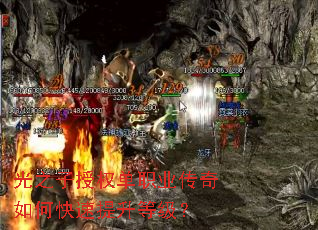 ��֮����Ȩ��ְҵ������ο��������ȼ���