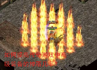 �����ߴ�����Ϸ�и߼�װ���ĵ��伸�ʣ�