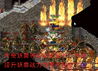 �������޵ȼ���λ��֣�������������ս������Щ�ؾ���