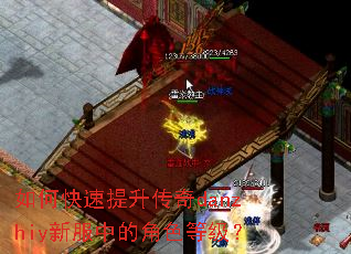 如何快速提升传奇danzhiy新服中的角色等级? 如何快速提升传奇danzhiy新服中的角色等级?