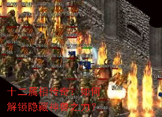 ʮ�����ഫ�棺��ν�����������֮����
