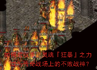 ��μ�Ԧ������꡺�񱩡�֮������Ϊ����ս���ϵĲ���ս��