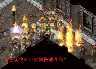 ��������2017��ο���������