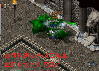 如何快速提升风云魔血单职业的角色等级? 如何快速提升风云魔血单职业的角色等级?