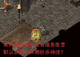 如何快速晋升综合服务生官职以获取化神期秒杀神技? 如何快速晋升综合服务生官职以获取化神期秒杀神技?