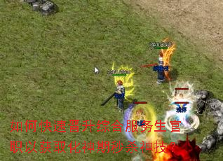 如何快速晋升综合服务生官职以获取化神期秒杀神技? 如何快速晋升综合服务生官职以获取化神期秒杀神技?