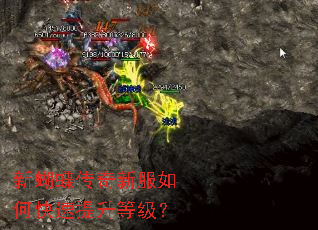 新蝴蝶传奇新服如何快速提升等级? 新蝴蝶传奇新服如何快速提升等级?