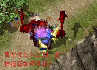 青衫仗剑入江湖:武林秘籍如何寻获? 青衫仗剑入江湖:武林秘籍如何寻获?