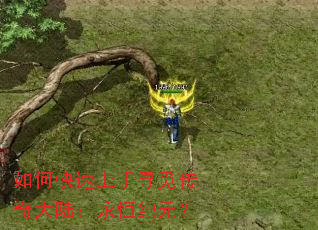 如何快速上手寻觅传奇大陆:永恒纪元? 如何快速上手寻觅传奇大陆:永恒纪元?