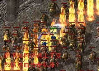 新手如何快速上手变态版热血传奇私服? 新手如何快速上手变态版热血传奇私服?