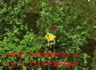 传奇新手如何快速升级?从小白到大佬的进阶之路全解析 传奇新手如何快速升级?从小白到大佬的进阶之路全解析