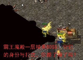霸王魔殿一层精英BOSS:它们的身份与打法,你都了解了吗? 霸王魔殿一层精英BOSS:它们的身份与打法,你都了解了吗?