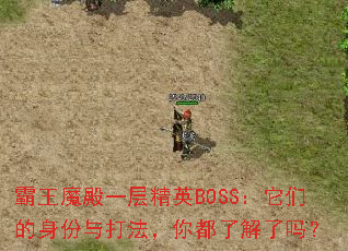 霸王魔殿一层精英BOSS:它们的身份与打法,你都了解了吗? 霸王魔殿一层精英BOSS:它们的身份与打法,你都了解了吗?