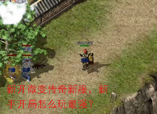 新开微变传奇新服,新手开局怎么玩最强? 新开微变传奇新服,新手开局怎么玩最强?