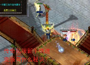 传奇私服新手快速变强有什么秘诀? 传奇私服新手快速变强有什么秘诀?