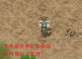 �����������ҵȼ���ν�������죿