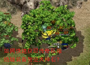 如何快速获取传奇私服绝版装备与逆天神石? 如何快速获取传奇私服绝版装备与逆天神石?