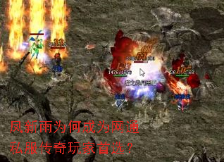 凤新雨为何成为网通私服传奇玩家首选? 凤新雨为何成为网通私服传奇玩家首选?