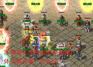 冰雪复古传奇南阳神殿具体位置在哪?怎么走? 冰雪复古传奇南阳神殿具体位置在哪?怎么走?