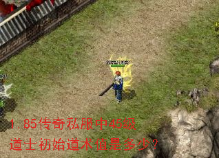 1.85传奇私服中45级道士初始道术值是多少? 1.85传奇私服中45级道士初始道术值是多少?