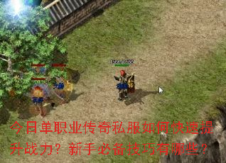 今日单职业传奇私服如何快速提升战力?新手必备技巧有哪些? 今日单职业传奇私服如何快速提升战力?新手必备技巧有哪些?