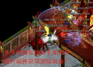 牛牛传奇私服新手如何快速升级并获取顶级装备? 牛牛传奇私服新手如何快速升级并获取顶级装备?