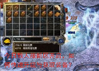 今日散人服新区开启,如何快速升级与获取装备? 今日散人服新区开启,如何快速升级与获取装备?