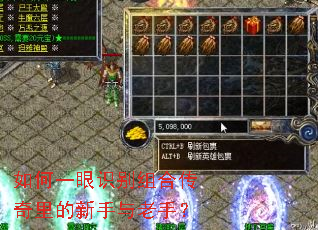 如何一眼识别组合传奇里的新手与老手? 如何一眼识别组合传奇里的新手与老手?