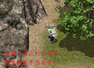 如何一眼识别组合传奇里的新手与老手? 如何一眼识别组合传奇里的新手与老手?