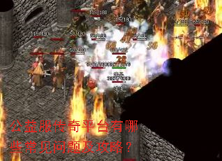 公益服传奇平台有哪些常见问题及攻略? 公益服传奇平台有哪些常见问题及攻略?