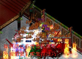 ��η�ֹ�ڴ���˽��Ұ�ⱻ͵Ϯ�������漼��
