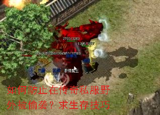 ��η�ֹ�ڴ���˽��Ұ�ⱻ͵Ϯ�������漼��