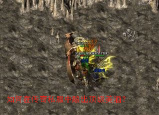 如何在传奇私服中酿出顶级美酒? 如何在传奇私服中酿出顶级美酒?