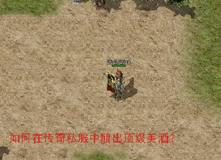 如何在传奇私服中酿出顶级美酒? 如何在传奇私服中酿出顶级美酒?